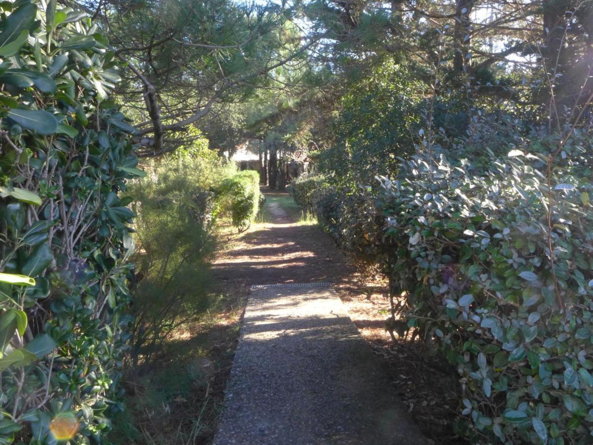 Holiday Home Juncades By Interhome Seignosse Dış mekan fotoğraf